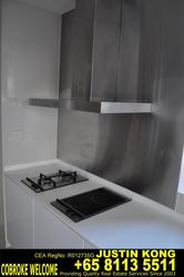 Park Infinia At Wee Nam (D11), Condominium #177515522